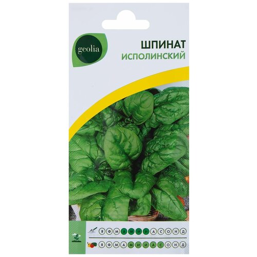 ���� ������. ������ 