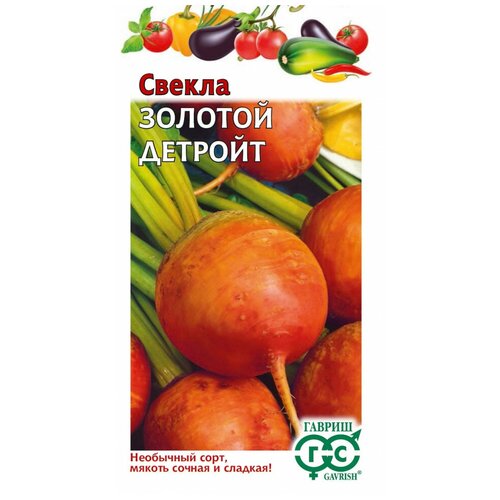 ���� ������. ������ 