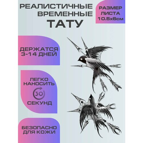 ���� ���� ���������� ��������������, ��������� ���� �������� ������ ������