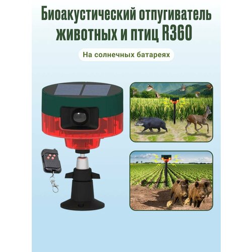 ���� ������������ ��������������� �������� � ���� �� ��������� �������� R360 ������ ������