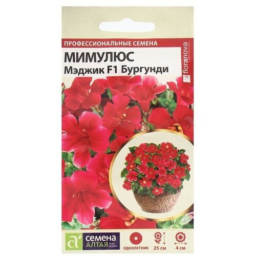 ���� ������ ������� ������ �������� 10�� ��� 25�� (������ �����) ������ ������