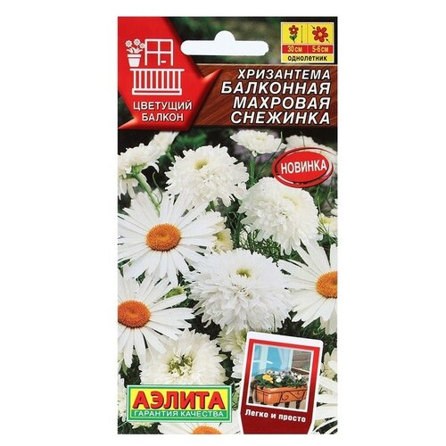 ���� ������ ��������� ������ ���������� ��������� �������� ��������, 0,2 � ������ ������