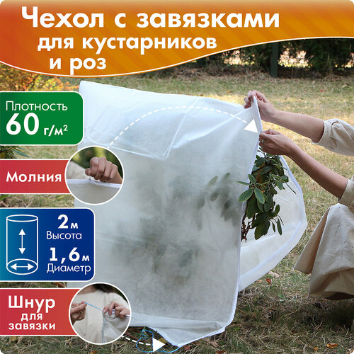 ���� ����� ��� ����������� � ��� ������ 2 �, ������� 1,6 �, ����� ������ ������