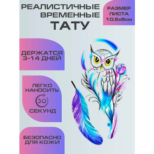 ���� ���������� ����������, ��������� ���� ���� � ���� ������ ������
