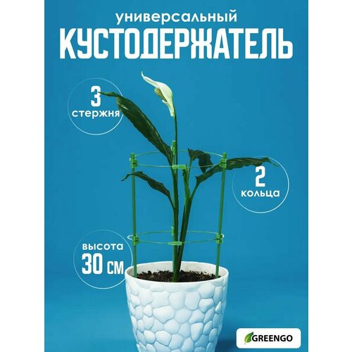 ���� ��������������, d = 18 ��, h = 30 ��, 2 ������, ������, ������, Greengo ������ ������