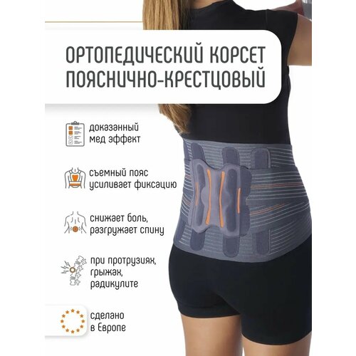 ���� ������ Orliman LTG-305 26 �� ����� ������ ������