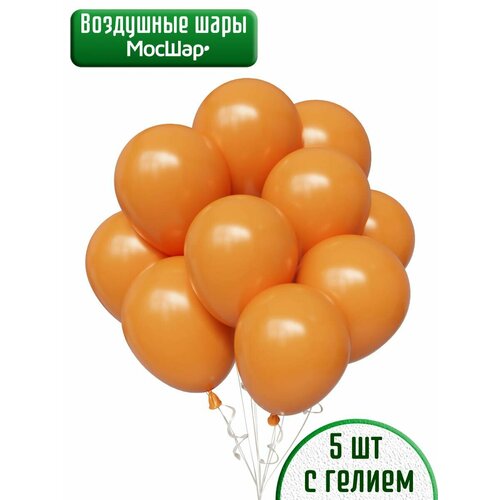 ���� ��������� ��� � ������, ��������� ������, ��� ������� - ������� 5�� ������ ������