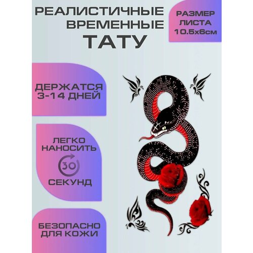 ���� ���������� ����������, ���� ��������� ���� � ���� ������ ������