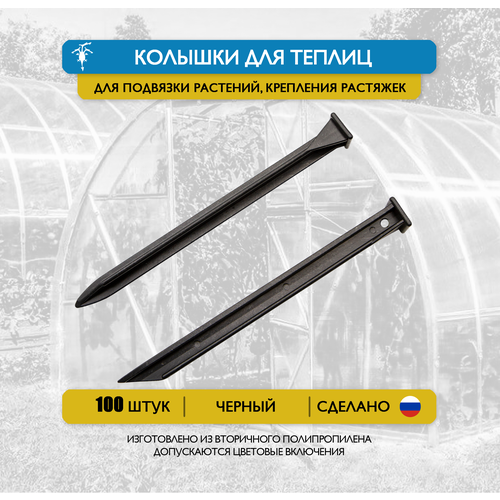 ���� 100 ��. ������� ��� ������ � ��������, ��� �������� ��������, ��������� � ����� �������� � ����� ����������� ������ ������