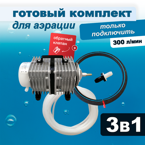 ���� �������� ������� ��� �����, ������� � �������, ���������� + ������� + �����, 300 �/��� ������ ������