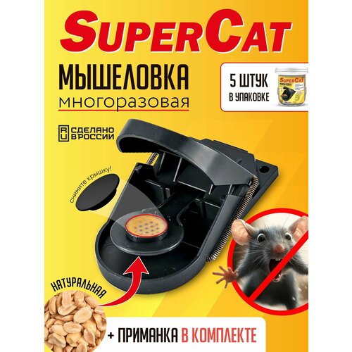 ���� ����������� ��������� SuperCat, 5 ��. ������ ������