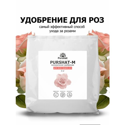 ���� ��������� ������ ��� ��� � ������ 3 �� ������ ������