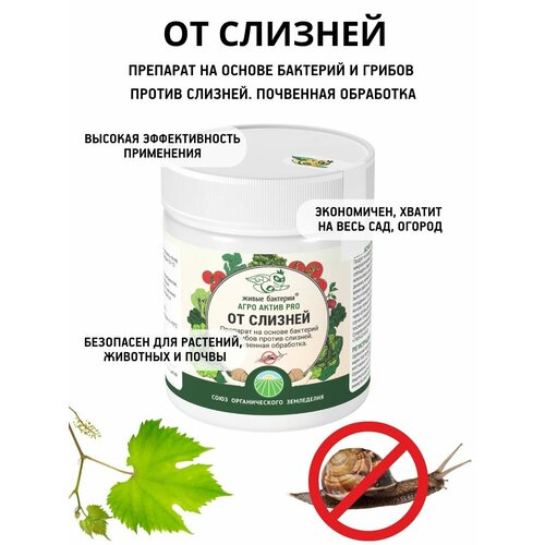 ���� ������������ �������� �������� ����� �������� ���� ����� PRO, �������� �� ������� � ������ , 300 � ������ ������