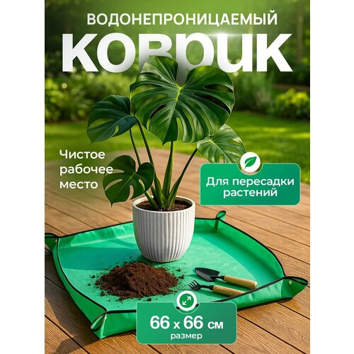 ���� ������ ��� ��������� �������� iulkapu, ��� �������, �������, ����������, 66 �� � 66 �� ������ ������