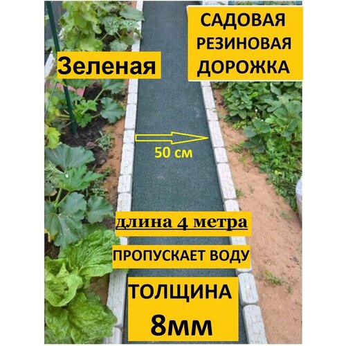 ���� ������� ������� ��� 