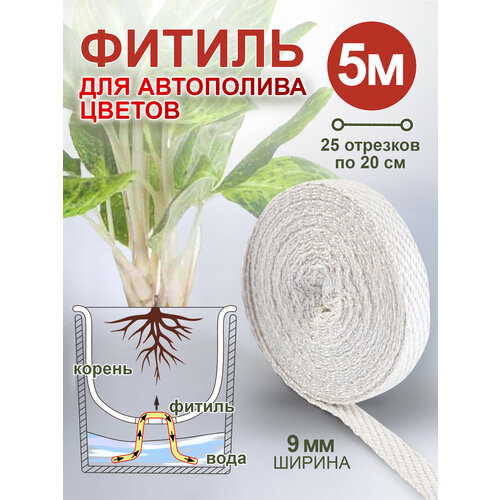 ���� ������ ��� ������ ������ 5 � ������ ������