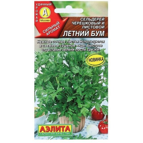 ���� ������ ��������� �������� 