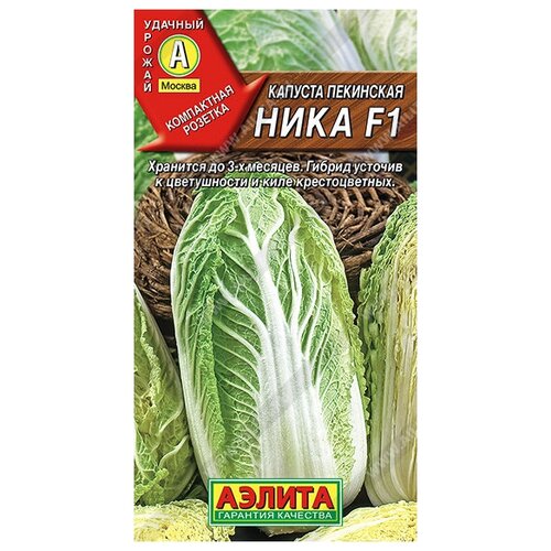 ���� ������. ������� ��������� 