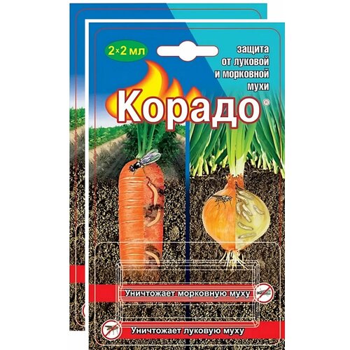 ���� ������, �������� �� ������� � ��������� ���� (4 ������ �� 2 ��). ��� �������� ��������� ���������, �������� ��� ������� ������� ������ ������