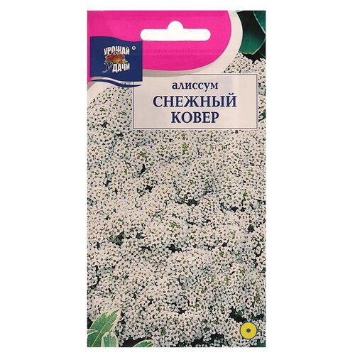 ���� ������ ������ ����� ������� ������� �����, 0,1 �� ������ ������