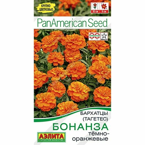 ���� ������ �������� ������� �����-���������, ����������, (������) 7�� PanAmerican ������ ������