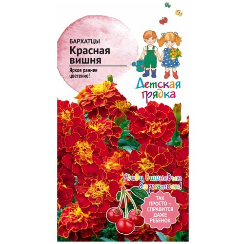 ���� �������� ������� ����� 10 �� �� / ������ ���������� ������ ��� ���� / ���������� ����� ��� ������� ������ ������