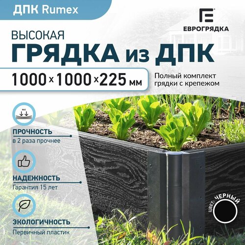     1   1 , ( Rumex: 22530 , : )  