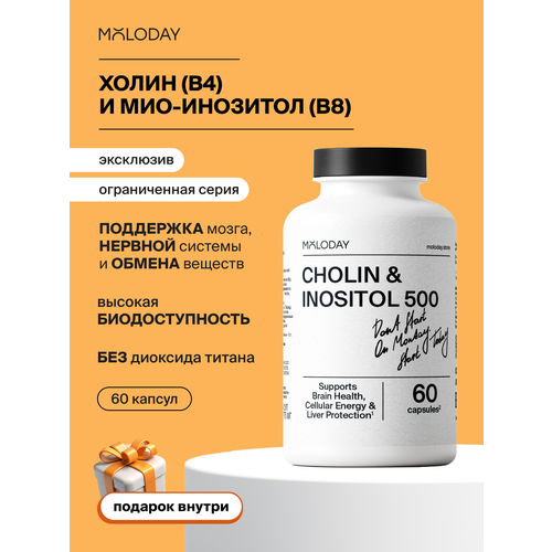 ���� ����� � �������� Moloday, ��� ����� � ������, 500+500��, 60������ ������ ������