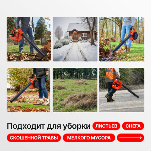 ���� ���������� ������������ Belmax ������ ������
