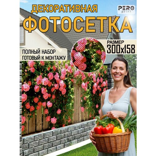���� ��������� ��� ������ 300�158�� ��� ������ ������