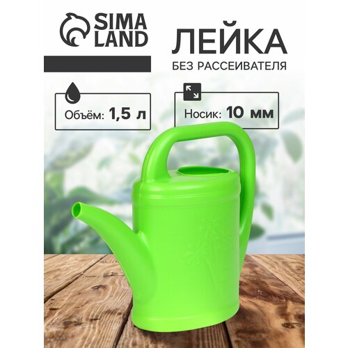 ���� �����, 1.5 �, ��� ������������, ����� d =10 �� ������ ������