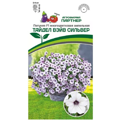 ���� ������ ������� 