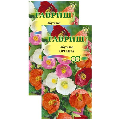 ���� �������� ������� ����� (7 �����), 2 ������ ������ ������