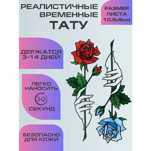 ���� ���� ���������� ��������������, ��������� ���� ���� � ���� ������ ������