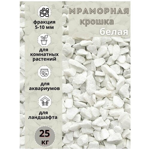 ���� ��������� ������, ������ ����� 5-10 �� (10 ��) ����� ����������� ��� ��������� � ������� �������� ������ ������