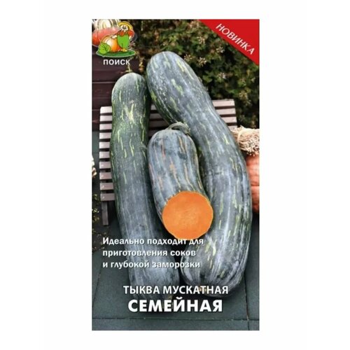 ���� ������ ����� ��������� 