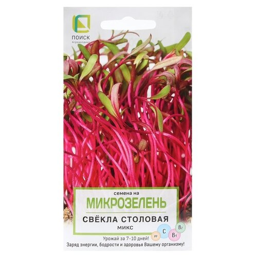 ���� ������ ����� ����������� ������ �������� ���� 5� ������ ������