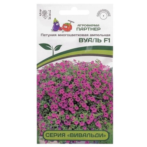 ���� ������ ������ ������� 