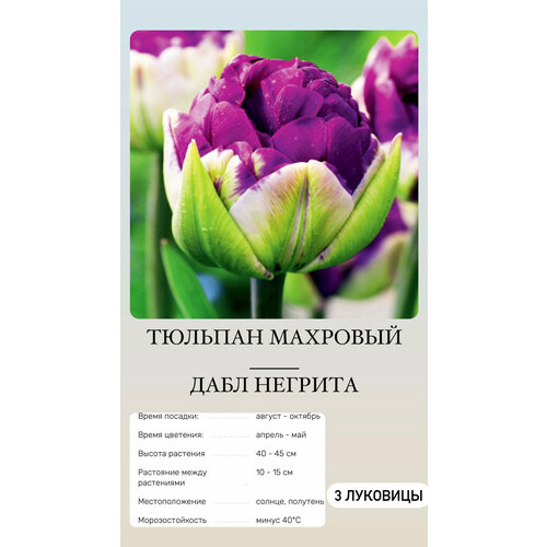 ���� ������� �������� ����������� ������ ������ ������