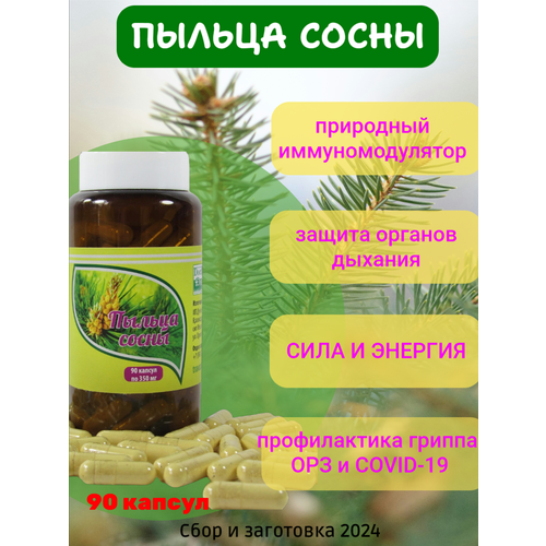 ���� ������ ����� 90 ������ �� ������� ������� ������ ������