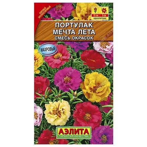 ���� �������� 