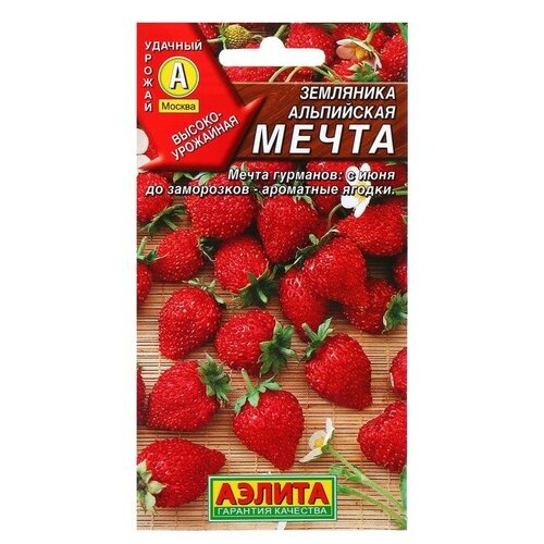 ���� ������ ��������� 