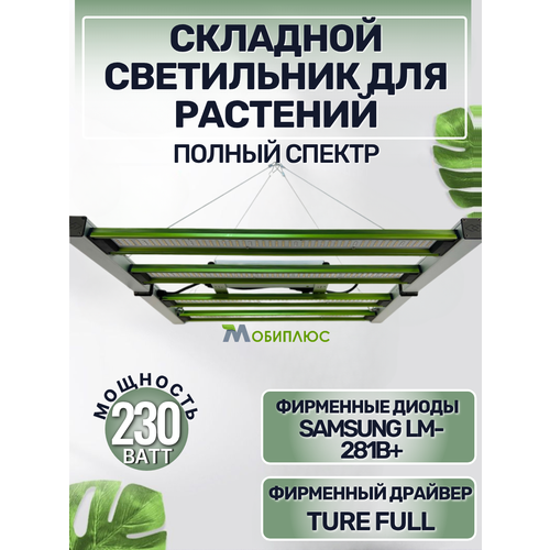 ���� ���������� ��� �������� 230����/ ��������� Samsung LM-281B+, 5000�, 450-660 ��. ������� ���� ������ ������