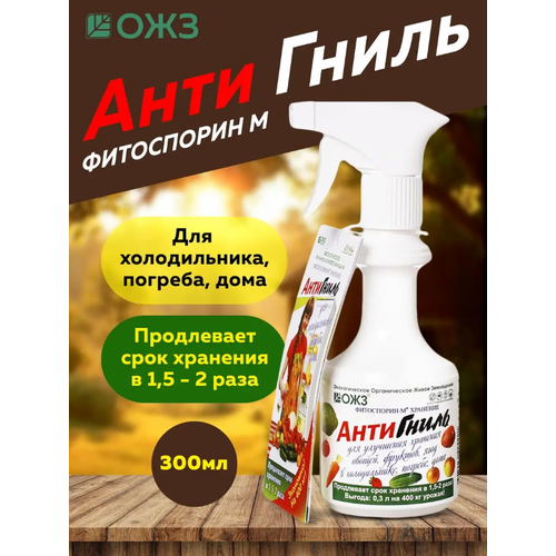 ���� ����������-� ��������� (��������), 300 �� ������ ������