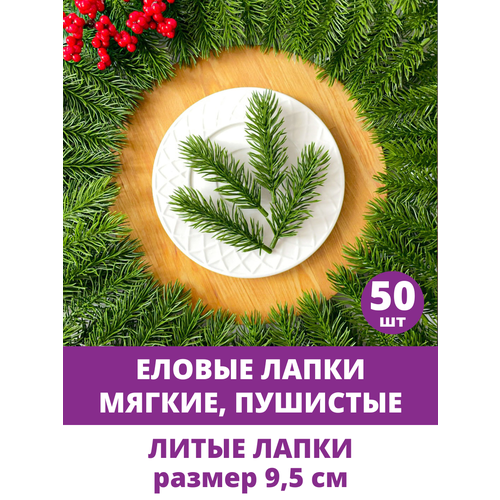 ���� ������ ����� �������������, ��� ������, ����������, �������, ������� 9,5 ��, 50 ���� ������ ������