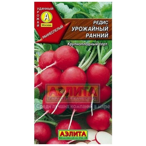 ���� ������ ����� ��������� ������ 3� - ��������� ������ ������ ������