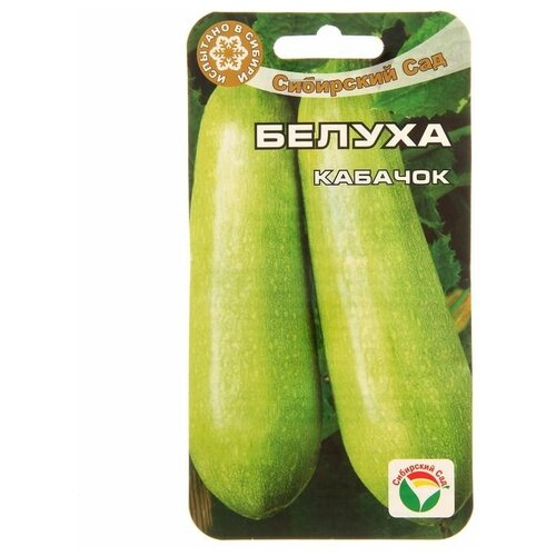 ���� ������ ������� 