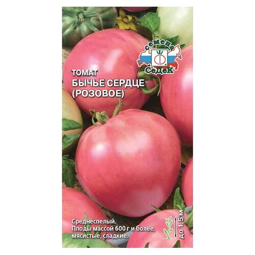 ���� ������ ����� ����� ����� ������ ������� ������ ������