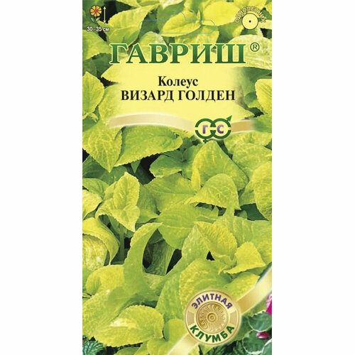 ���� ������ ������ ������ ������ 5 ��. ������ ������