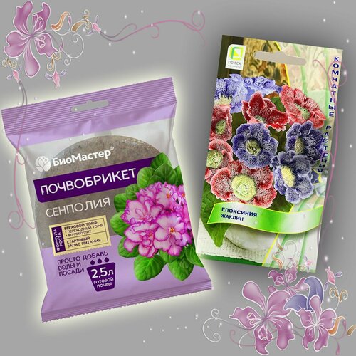 ���� ��������� ������-1��, ����������� 